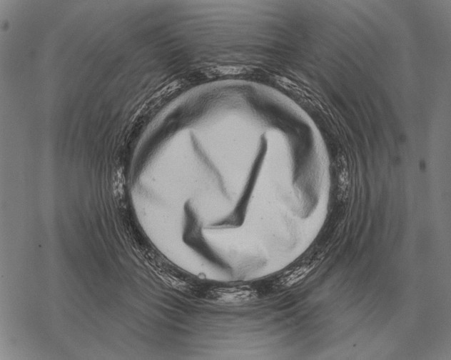 X0000068270555200605191830