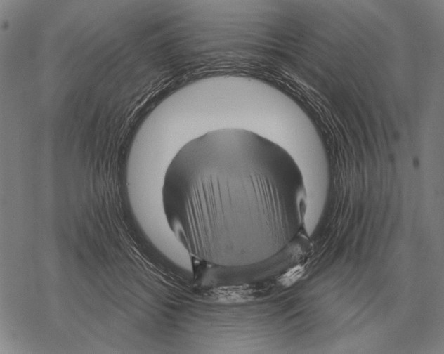 X0000068270556200605191830