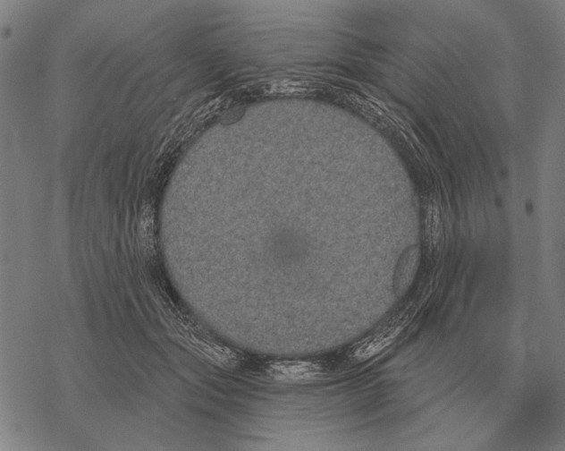 X0000068270557200605191830