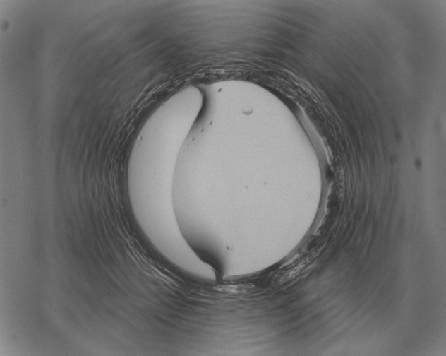 X0000068270558200605191830