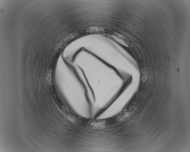 X0000068270560200605191831