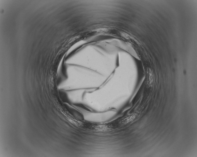 X0000068270562200605191831