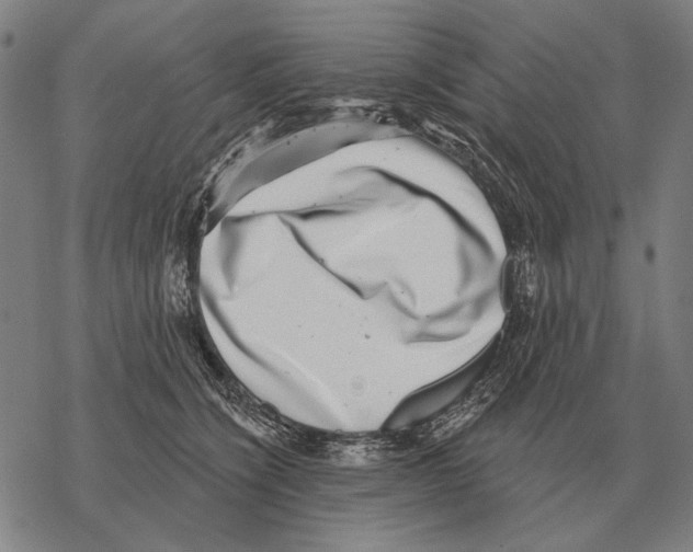 X0000068270564200605191831