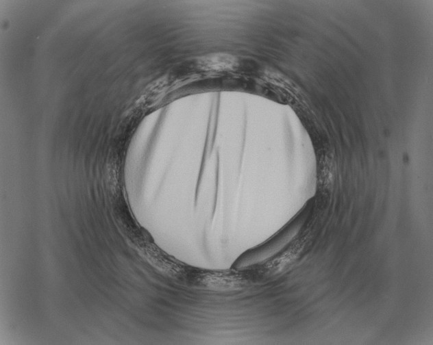 X0000068270568200605191831