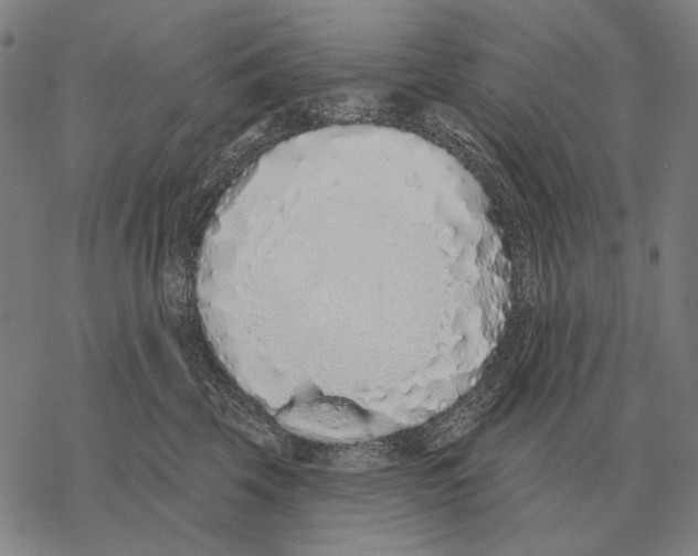 X0000068270569200605191831