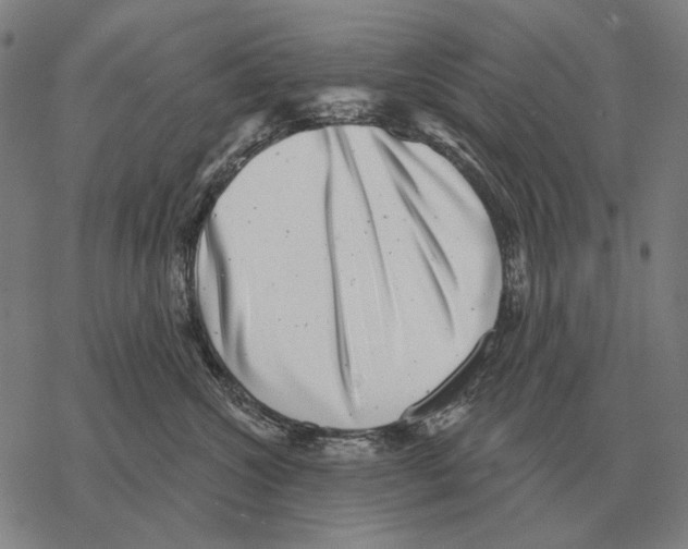 X0000068270572200605191831
