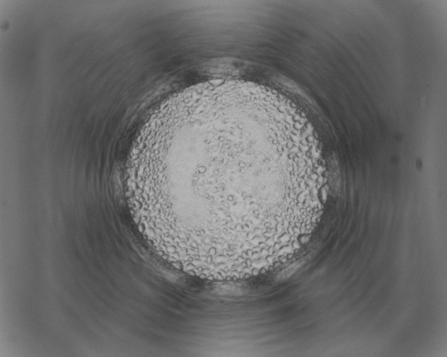 X0000068270573200605191831