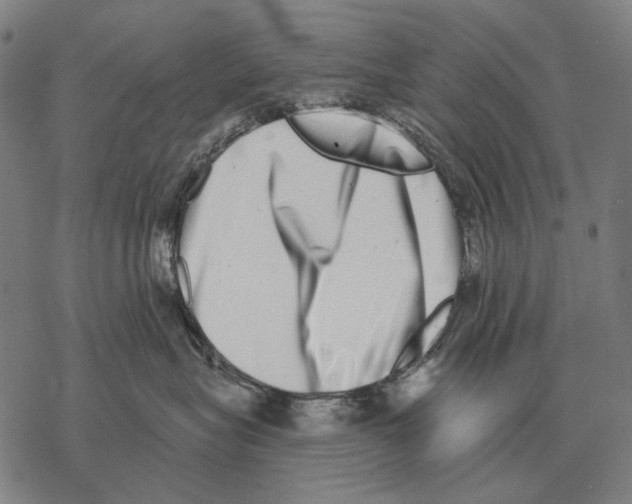 X0000068270575200605191831
