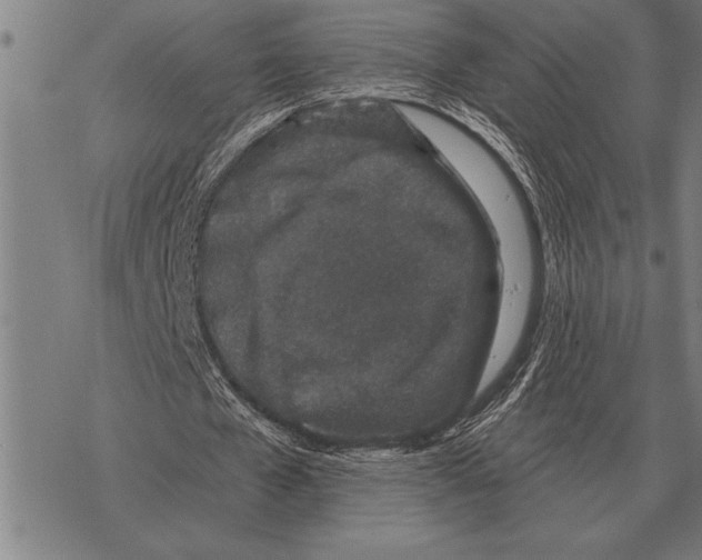 X0000068270577200605191830