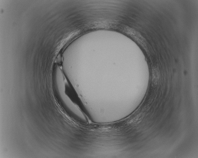 X0000068270578200605191830