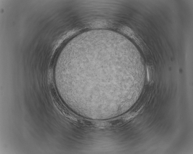 X0000068270579200605191830