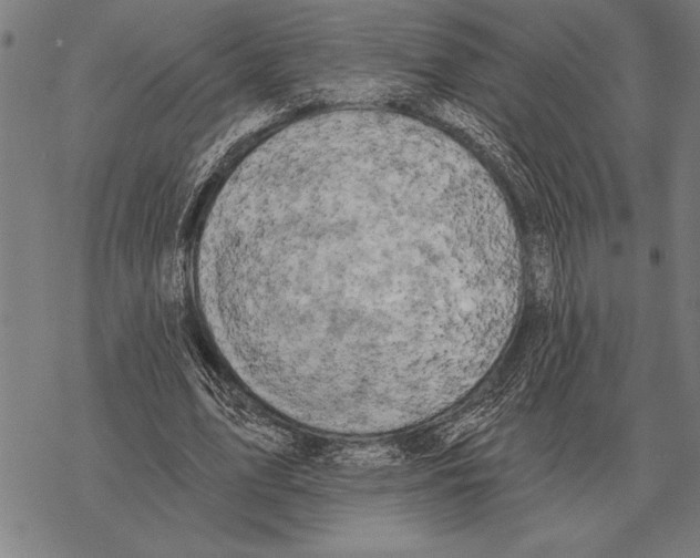 X0000068270583200605191830