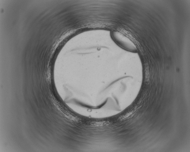 X0000068270584200605191830