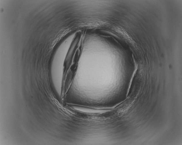 X0000068270585200605191830