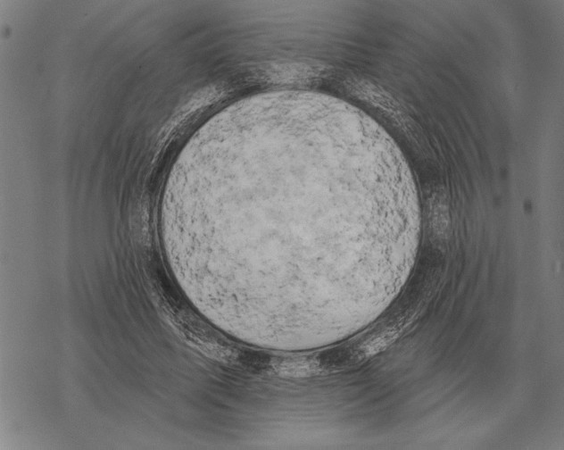 X0000068270587200605191830