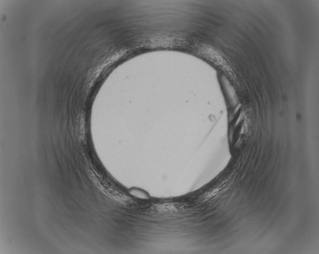 X0000068270588200605191830