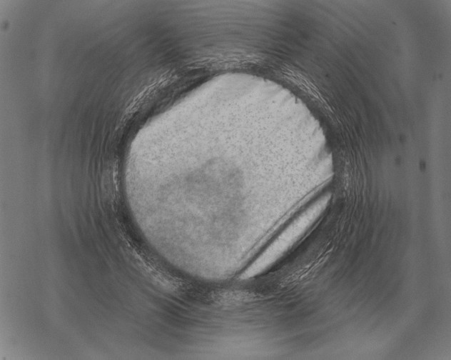 X0000068270590200605191830