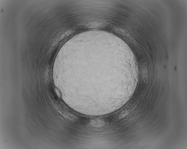 X0000068270591200605191830