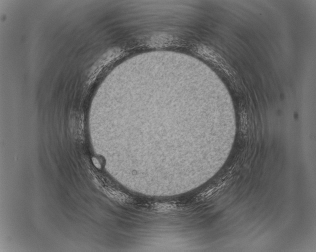 X0000068270592200605191830