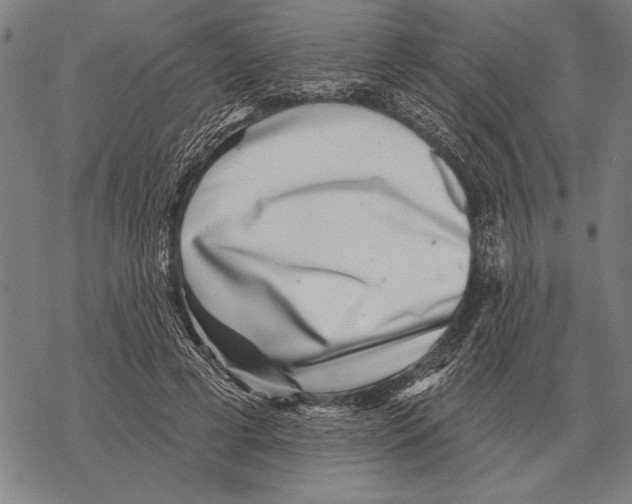 X0000068270593200605191830