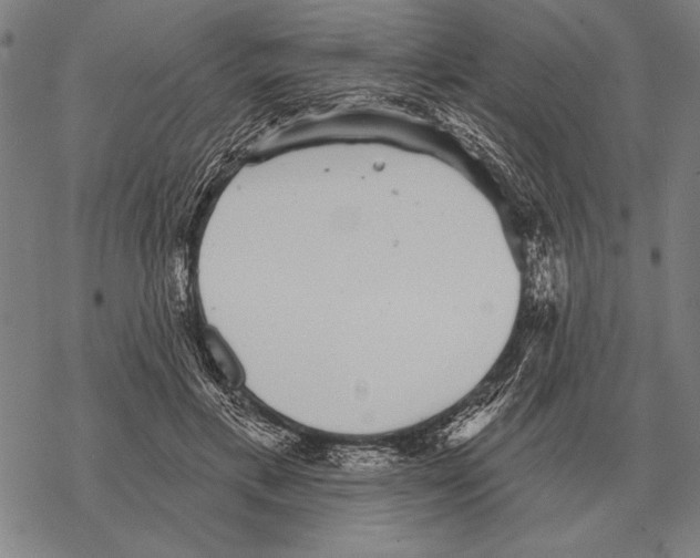 X0000068270597200605191830