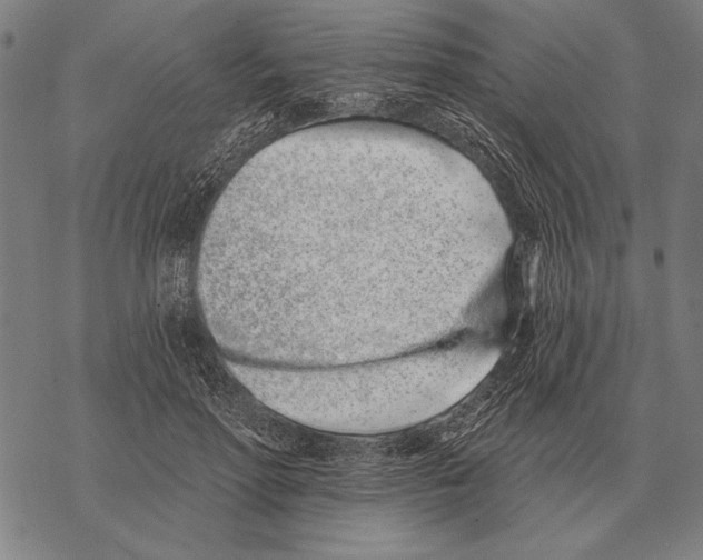 X0000068270598200605191830