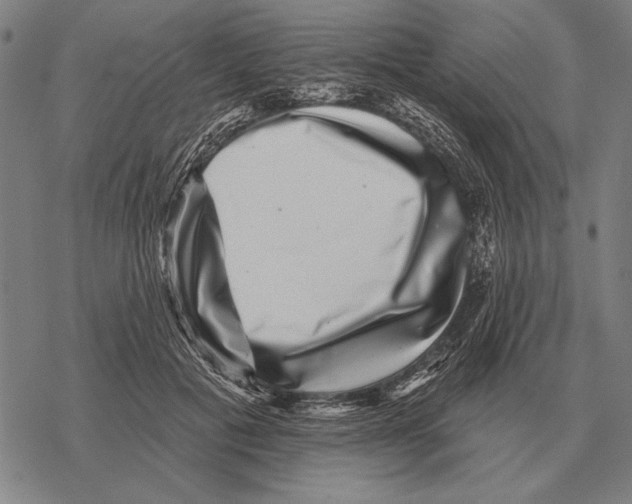 X0000068270601200605191830