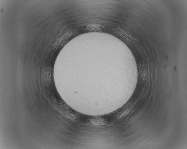 X0000068270603200605191830