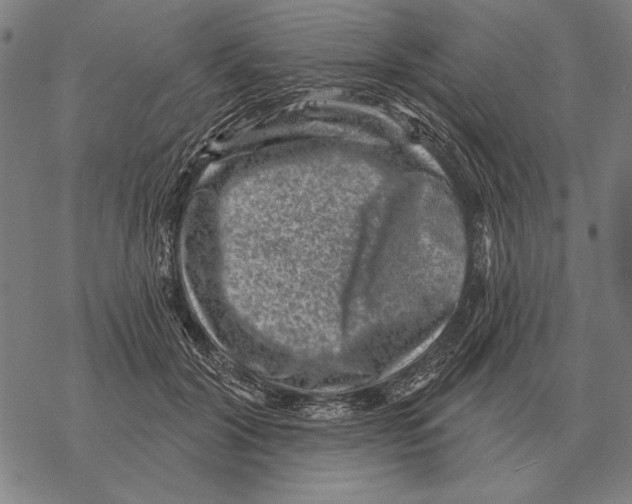 X0000068270604200605191830