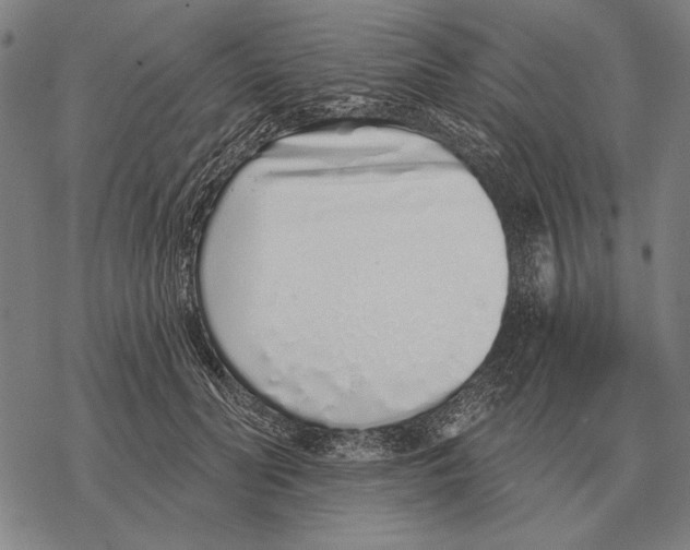 X0000068270606200605191830