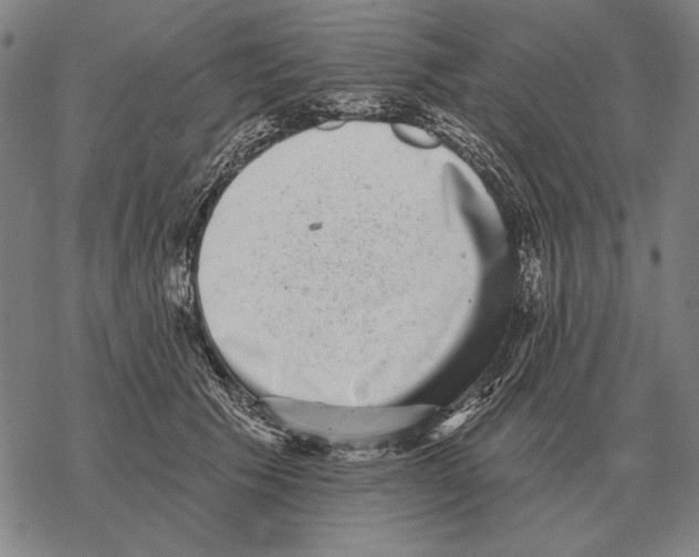 X0000068270609200605191829