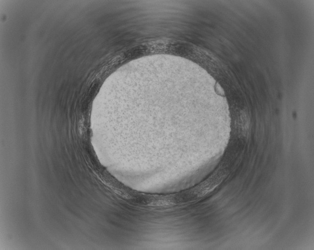 X0000068270610200605191829