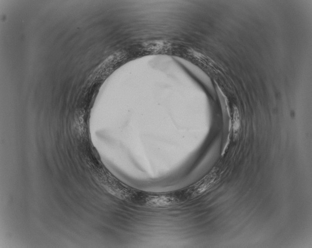 X0000068270611200605191829