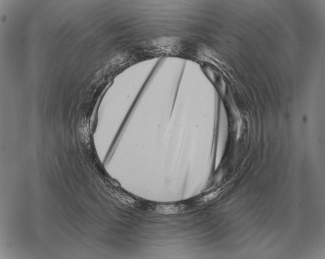 X0000068270613200605191829