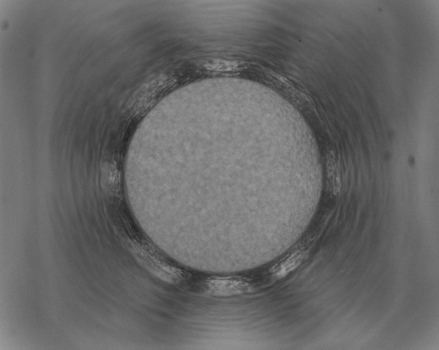 X0000068270614200605191829