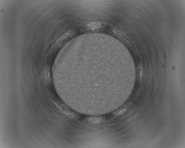 X0000068270615200605191829