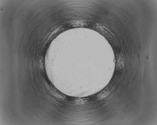 X0000068270616200605191829