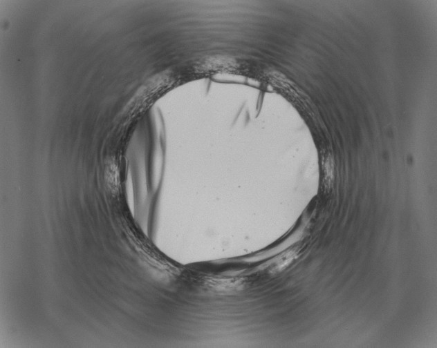 X0000068270617200605191829