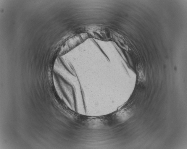 X0000068270620200605191829