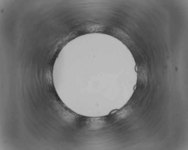 X0000068270622200605191829