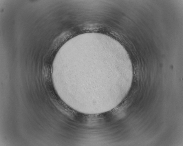 X0000068270623200605191829