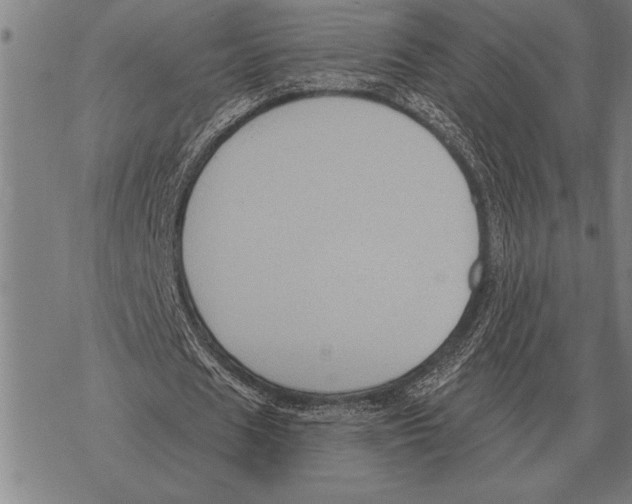 X0000068270625200605191828