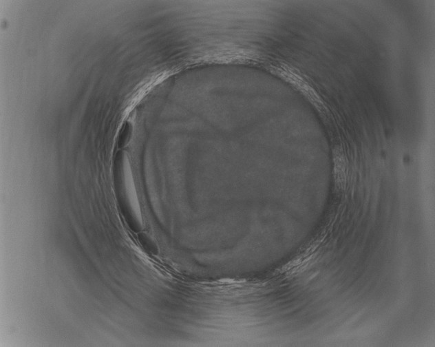 X0000068270626200605191828