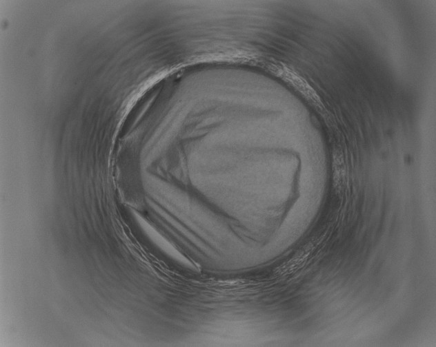 X0000068270628200605191829