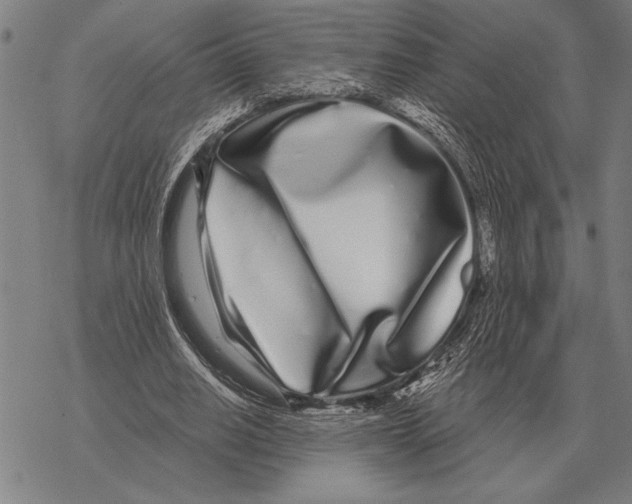 X0000068270630200605191829