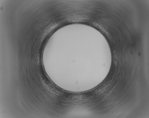 X0000068270631200605191829