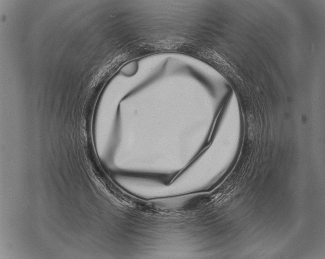 X0000068270634200605191829