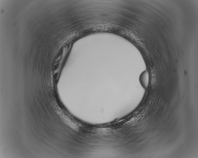 X0000068270637200605191829