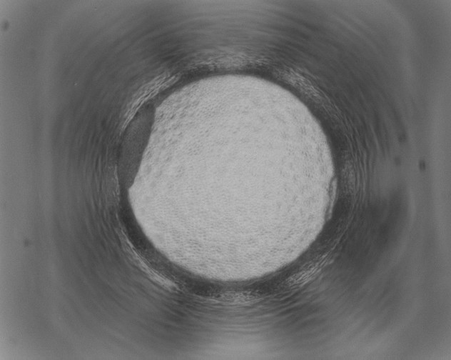 X0000068270638200605191829