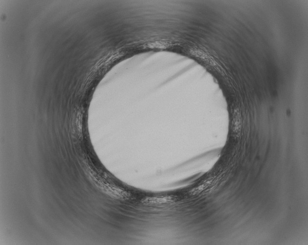 X0000068270639200605191829